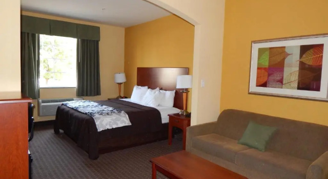 Номер Standard Sleep Inn & Suites At Kennesaw State University