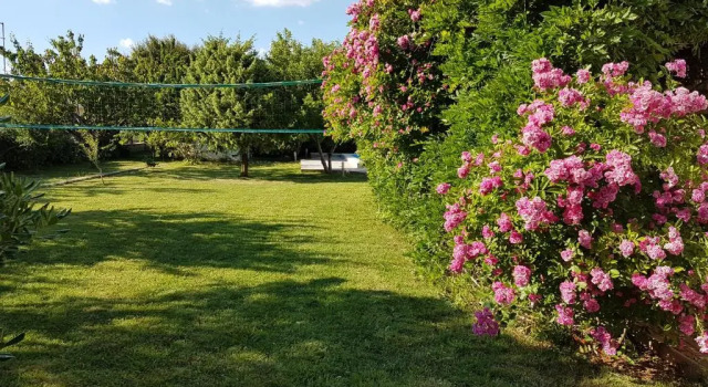 Апартаменты с видом на бассейн Zadar, Booking Zaton Villa Martinova holiday house with swimming pool