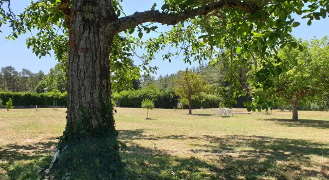 Апартаменты Le Clos Varnay