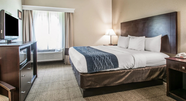 Люкс Comfort Inn & Suites DeLand - near University