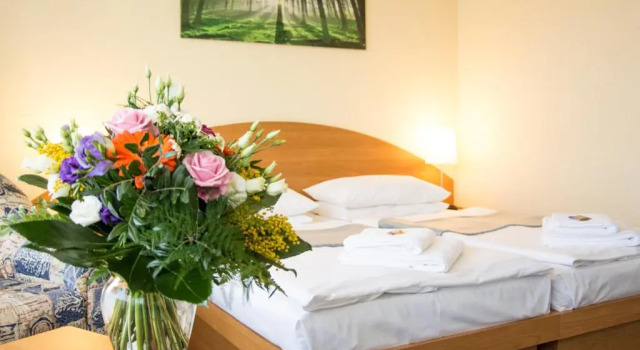 Двухместный номер Standard Отель astral Inn Hotel Leipzig