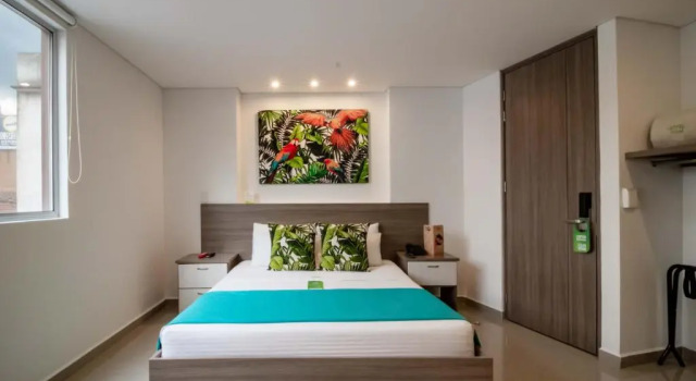 Двухместный номер Lleras Green Hotel