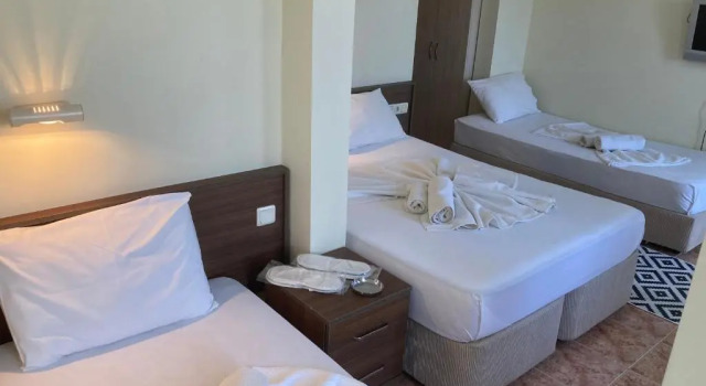 Трёхместный номер Standard с видом на горы Olimpia Hotel