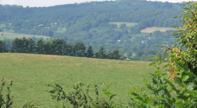 Le Petit Clos, Book Hotel Hoteller i Calvados med morgenmad, Morgenmad