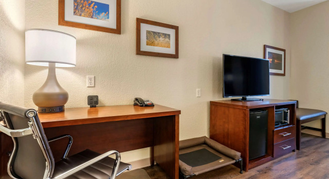 Двухместный люкс Comfort Suites Fernley