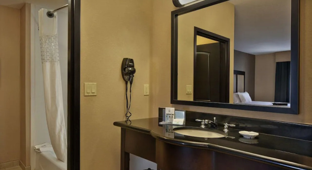 Четырёхместный люкс Hampton Inn & Suites Decatur