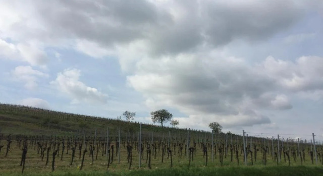 Winzerhof Agerlhof, Book Hotel Neusiedl am See 