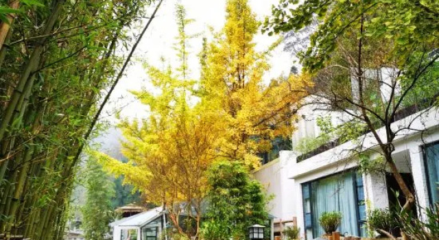 Geyuan Hostel, Book Hostel / Vandrerhjem Hostels i Wenchuan, Hostel / Vandrerhjem