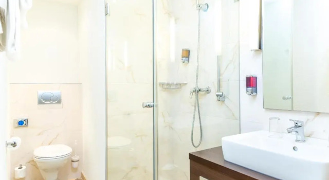 Двухместный номер Deluxe Hotel Rheinfelderhof