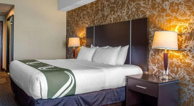 Номер Standard Quality Inn & Suites
