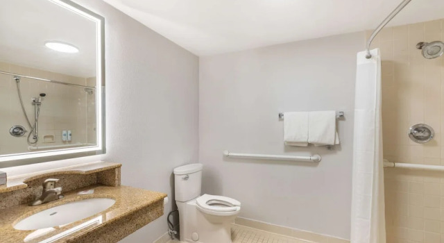 Четырёхместный люкс Comfort Inn & Suites Arlington Heights - Buffalo Grove