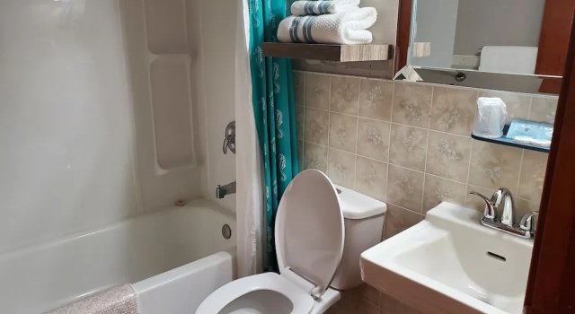 Двухместный номер Standard Wolseley Motel