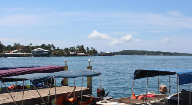 Coconut Hostel