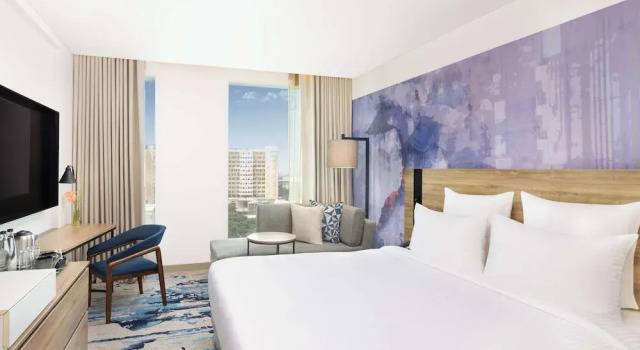 Номер Standard Novotel New Delhi City Centre