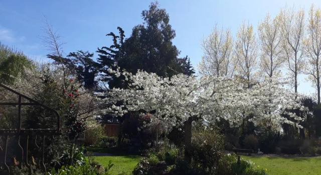 Номер Standard Folster Gardens Bed and Breakfast