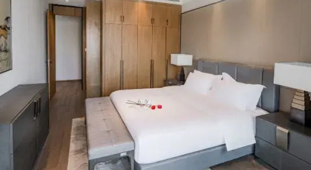 Люкс Premier OYO Shenzhen Jinxi Hotel