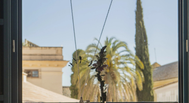 Номер Superior Hospes Las Casas del Rey de Baeza, a Member of Design Hotels