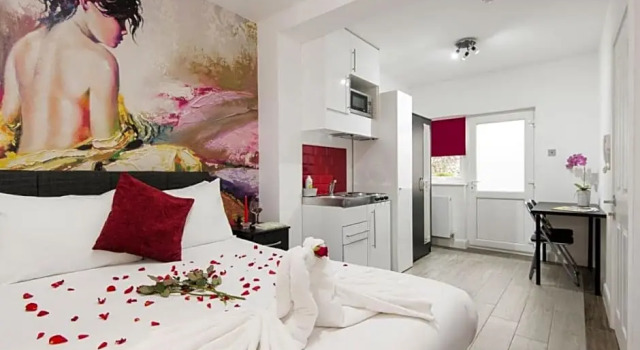Номер Deluxe Wembley Park Hotel