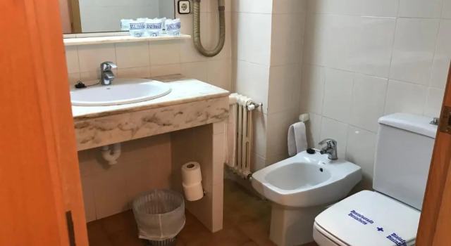 Трёхместный номер Standard Balneari Termes Victòria
