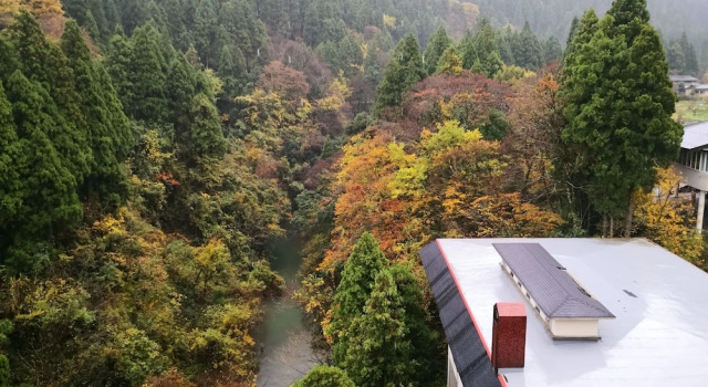 Номер Standard Yamanaka Onsen Hanatsubaki