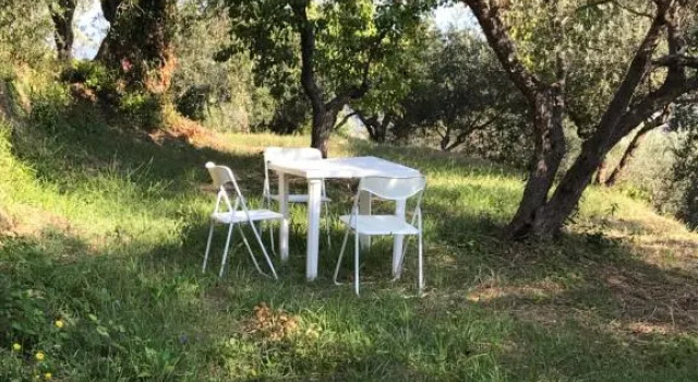 AGRITURISMO ARMO degli ULIVI, Book Hotel Hotels in Mirto with Parking, Parking