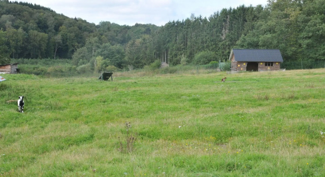 Modern cottage with microwave, 15 km from Durbuy