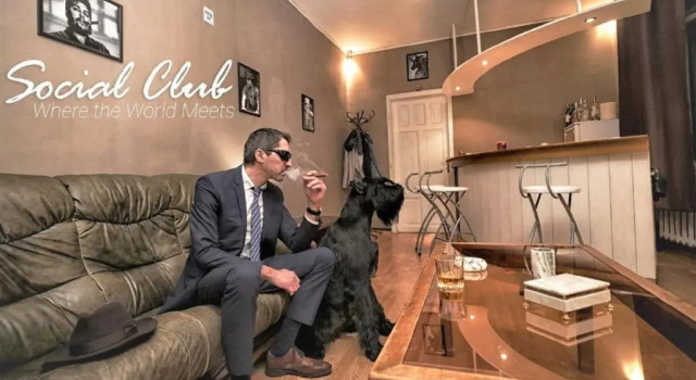 Кровать в общем номере Vintage Private Rooms In The Heart Of The Downtown