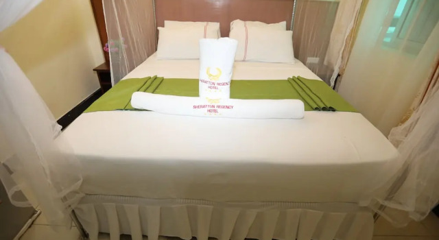 Двухместный номер Standard с балконом Sheratton Regency Hotel