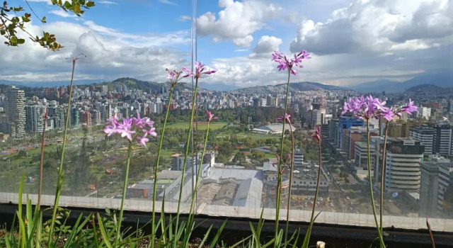Апартаменты Hermoso Penthouse con jardín, piscina Piso 23 viista espectacular