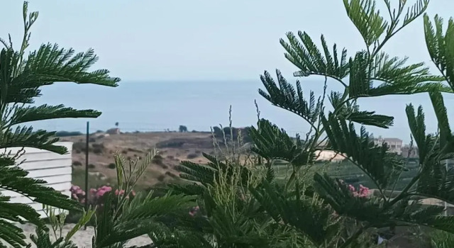 Casa vacanze Abbacari, Buchen Sie Hotel Hotels im Zentrum von Realmonte, hotels im Zentrum von Realmonte