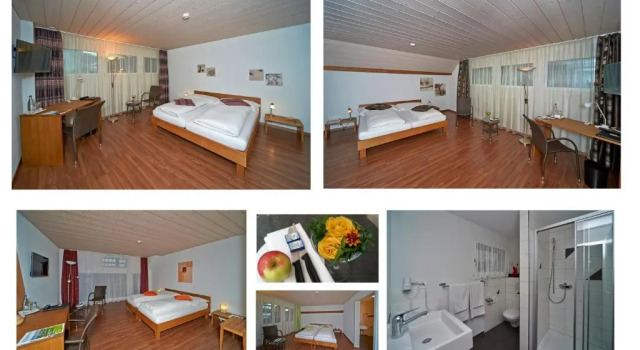 Номер Standard Hotel Bären