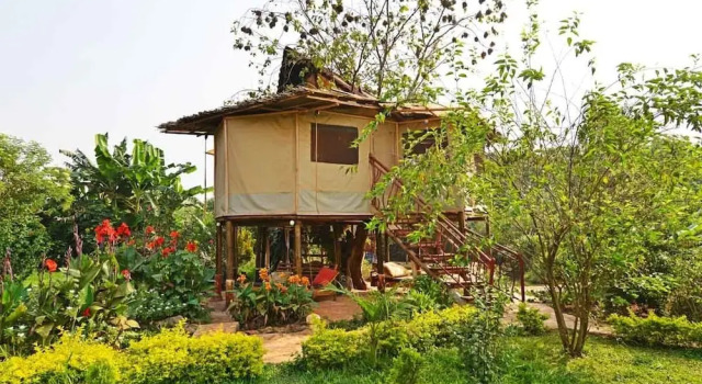 Confort cottage Malakai Eco Lodge