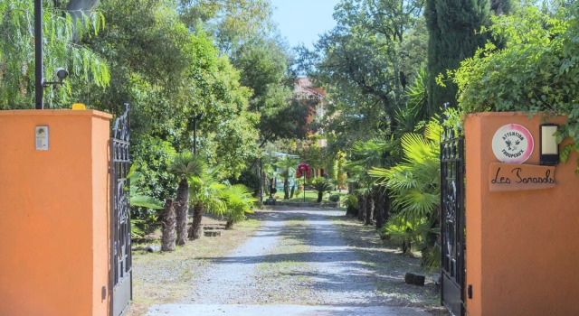 Mansion in Frejus With Private Pool