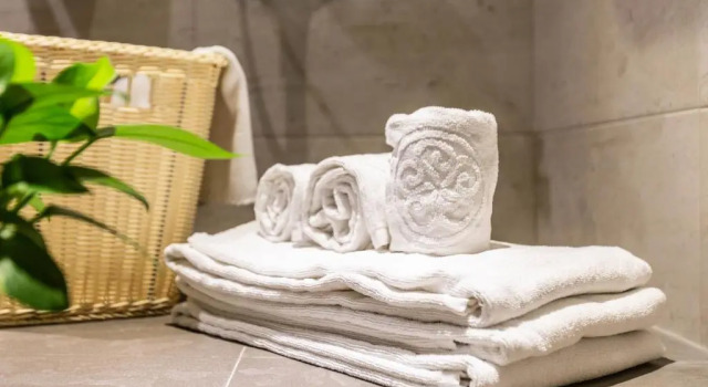 Двухместный номер Standard Jia Hsin Garden Hotel