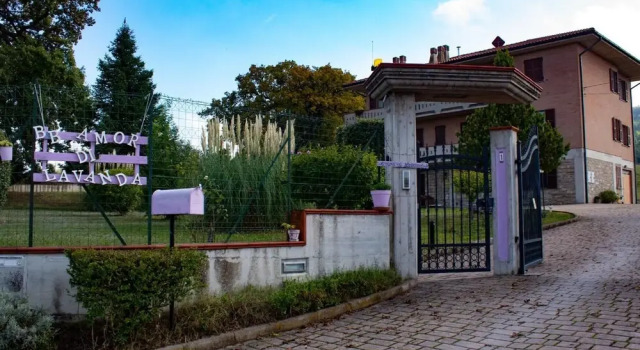 Amor di lavanda, Book Bed and Breakfast Cingoli 