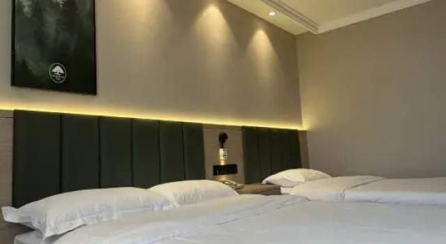 Двухместный номер Standard GreenTree Inn Nanjing Gaochun District Old Street Scenic Spot Express Hotel