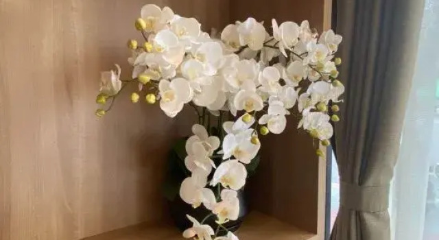 Suyudu Hotel (Suzhou Jinhai Avenue South International Garden Branch), Rezerwuj Hotel Hotele w Suzhou z parkingiem, Parking