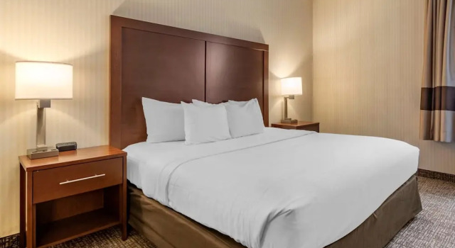Номер Standard Comfort Suites Downtown Carlisle
