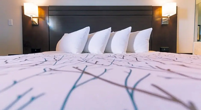 Люкс Service Plus Inn and Suites - Grande Prairie