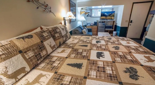 Студия Sunnyside Knoll: 3 1 Bedroom Studio