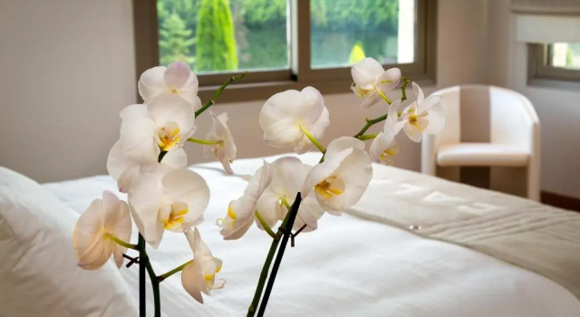 Люкс Calma Hotel & Spa