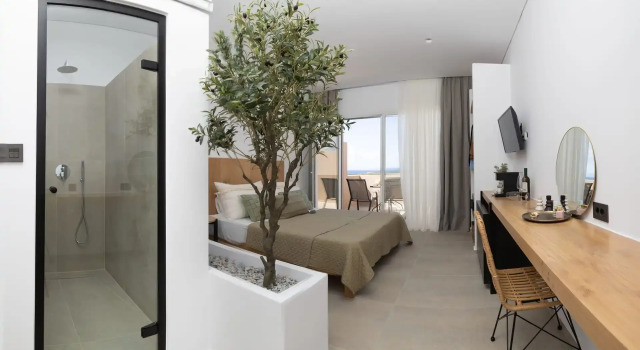 Люкс Deluxe Olive Vista Suites