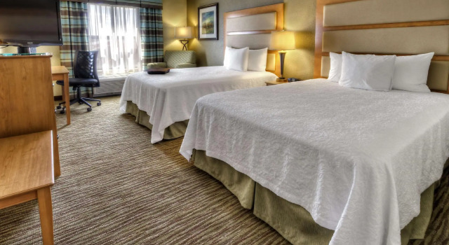 Четырёхместный номер Standard Hampton Inn & Suites Kalamazoo-Oshtemo