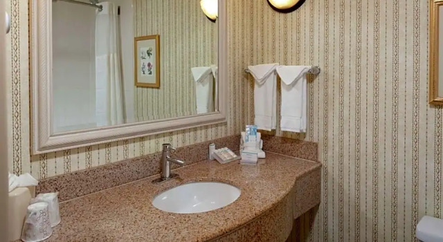 Четырёхместный номер Premium Hilton Garden Inn Charlotte North