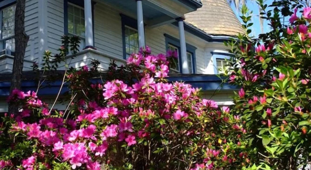 Daffodale House B&B, Boek Bed and Breakfast Monticello Minnesota