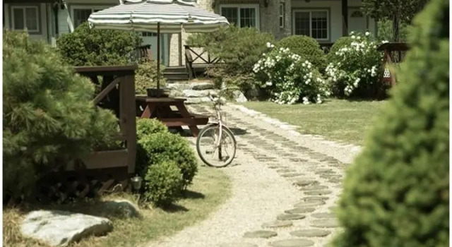 Dagwanryeong pomane, Book Hotel Pyeongchang Pyeongchang
