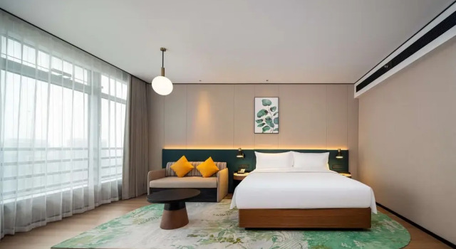 Двухместный номер Deluxe Hilton Garden Inn Hefei High-Tech Zone