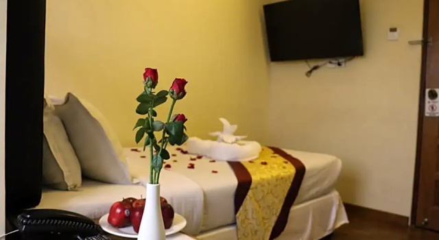 Одноместный номер Standard Queen's Park Hotel