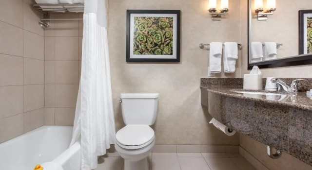 Номер Deluxe Hilton Garden Inn Fargo