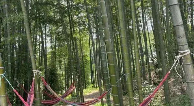 Southern Sichuan Bamboo Sea Forest Resort Homestay, Varaa Lomakeskus Hotellit Sichuan pysäköinnillä, Pysäköinti